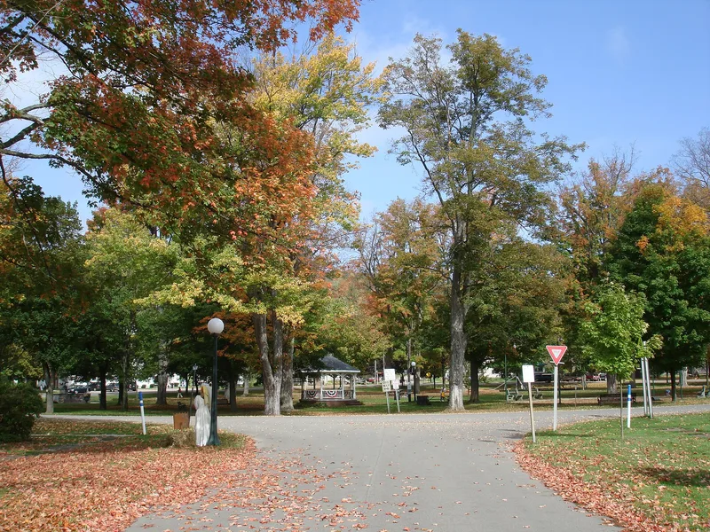 Angelica Park Circle Historic District, Angelica, New York