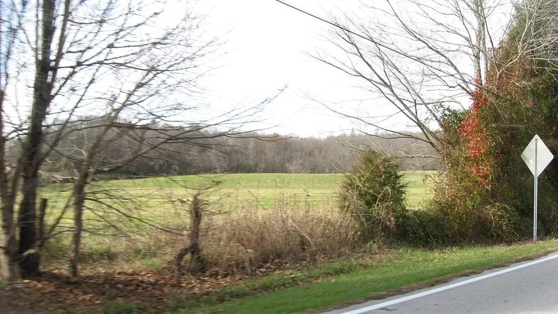 Bullskin Creek Site, Felicity, Ohio