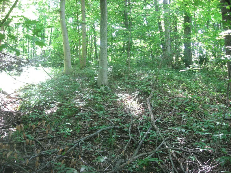 Hillside Haven Mound, Oakland, Ohio