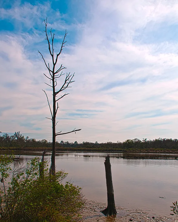 Armand Bayou Archeological District, Texas