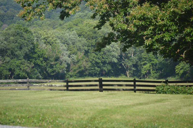 Looney Mill Creek Site, Buchanan, Virginia