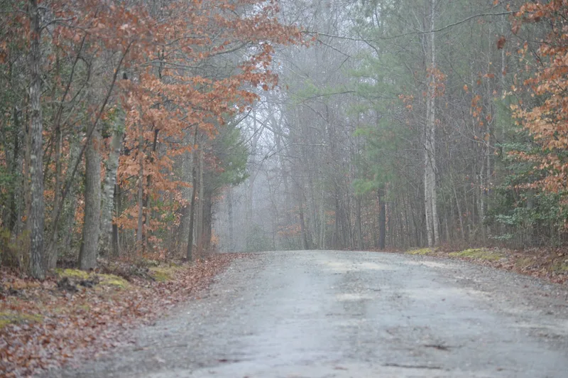 Burlington, Aylett, Virginia