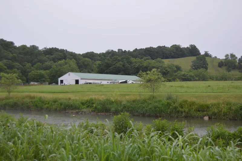 Fox Farm Site, McMullin, Virginia