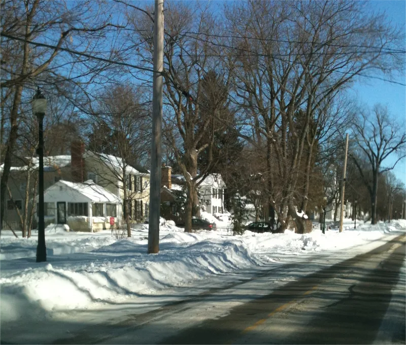 Wayne Village Historic District, Wayne, Illinois