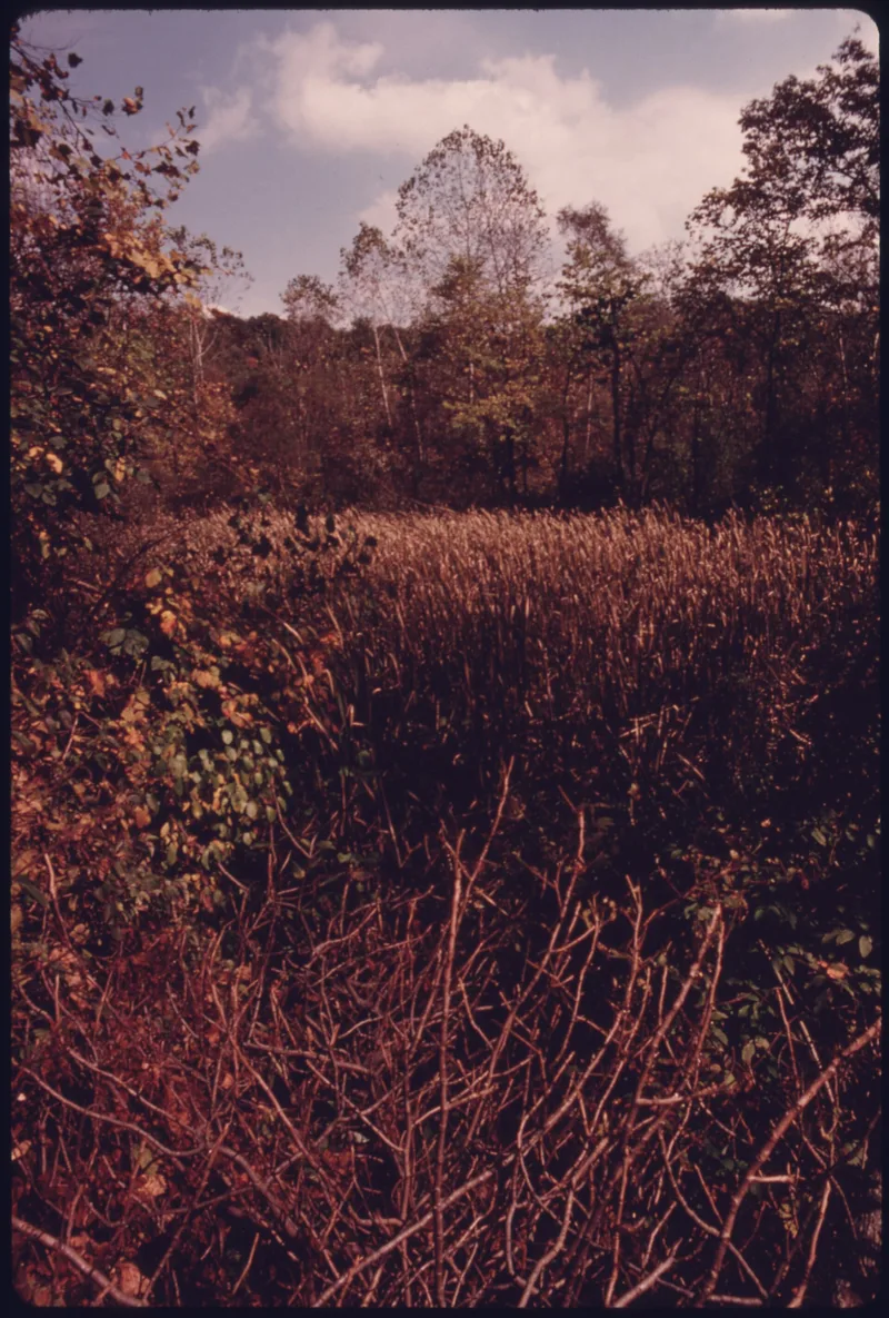 Stumpy Basin, Peninsula, Ohio