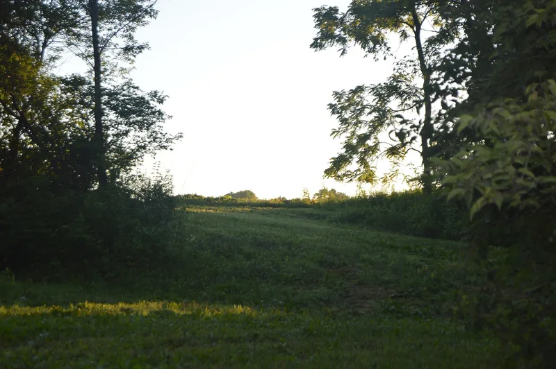 Sleeth Site, Liverpool, Illinois