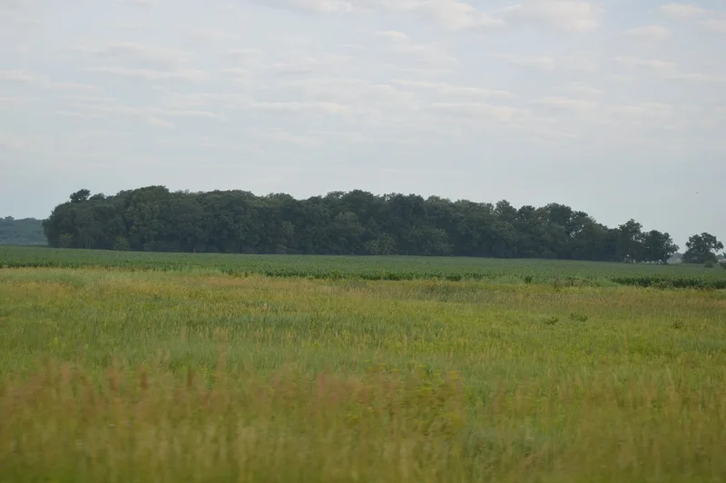 Mckeown Mound and Village Site (Additional Documentation), Sterling, Illinois