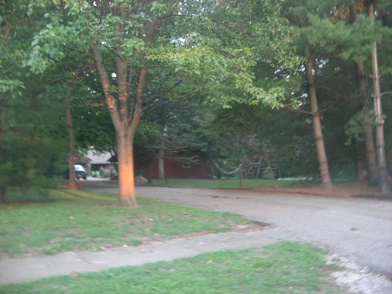 Larchmound, Olney, Illinois