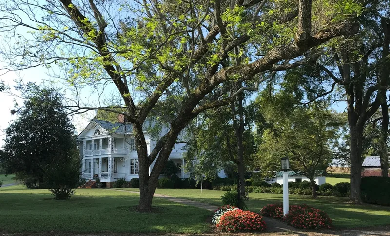 Daltonia, Houstonville, North Carolina