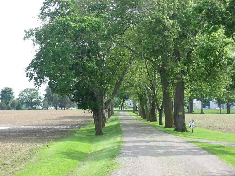 Bretz Farm, Morrall, Ohio