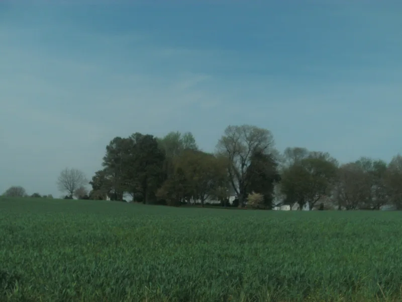 Egglestetton, Chula, Virginia