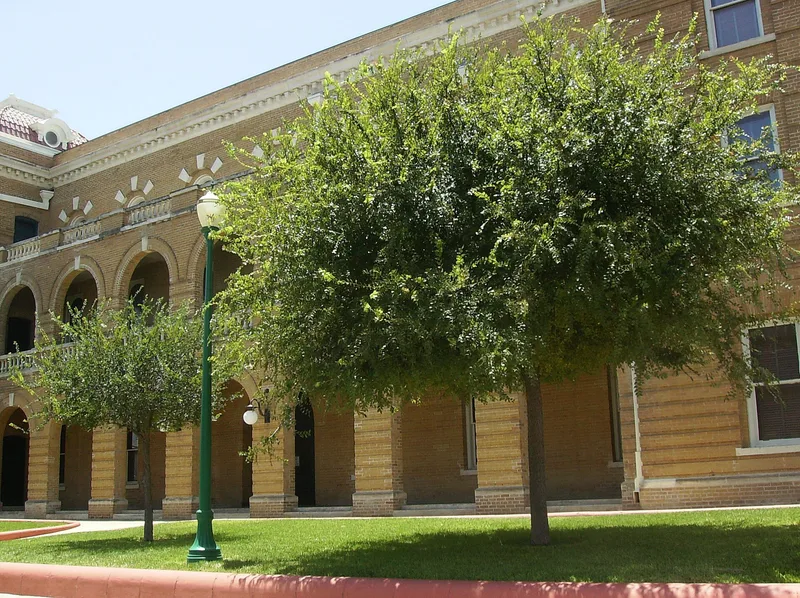 Webb County Courthouse, Laredo, Texas