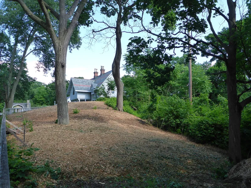 Spaulding, Henry F., Coachman's House, New York, New York