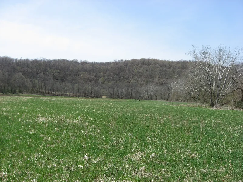 Fisher Site (36GR21), West Findley, Pennsylvania