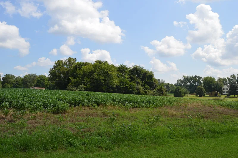 Patrick Henry's Birthplace Archeological Site, Studley, Virginia