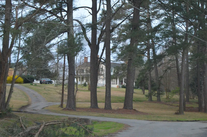Rosefield, Windsor, North Carolina