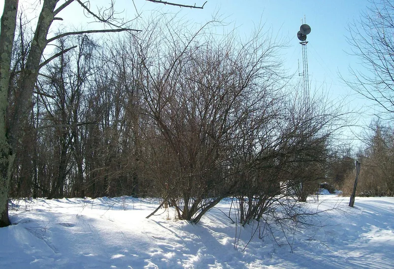 Tower Site, Barnesville, Ohio