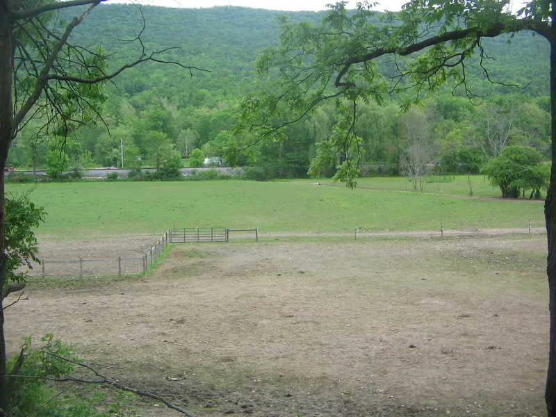 Fisher Farm Site, Wingate, Pennsylvania