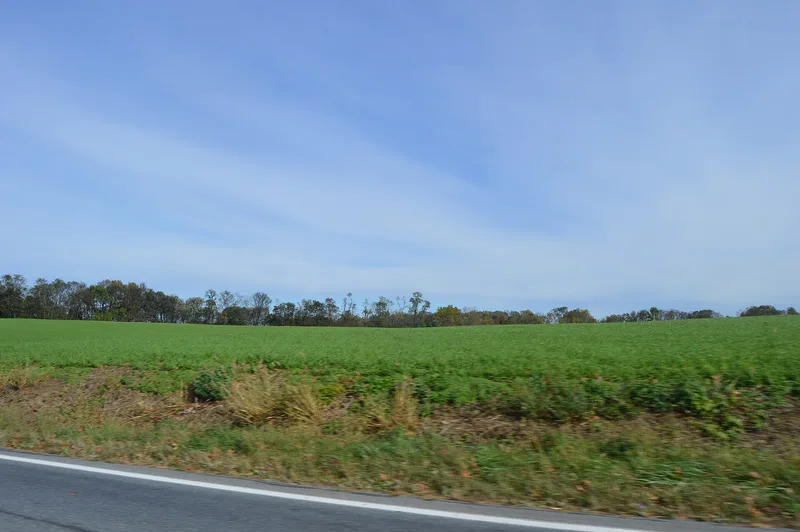 Shultz-Funk Site (36LA7 and 36LA9), Washington Boro, Pennsylvania
