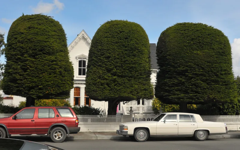 Berding, A., House, Ferndale, California