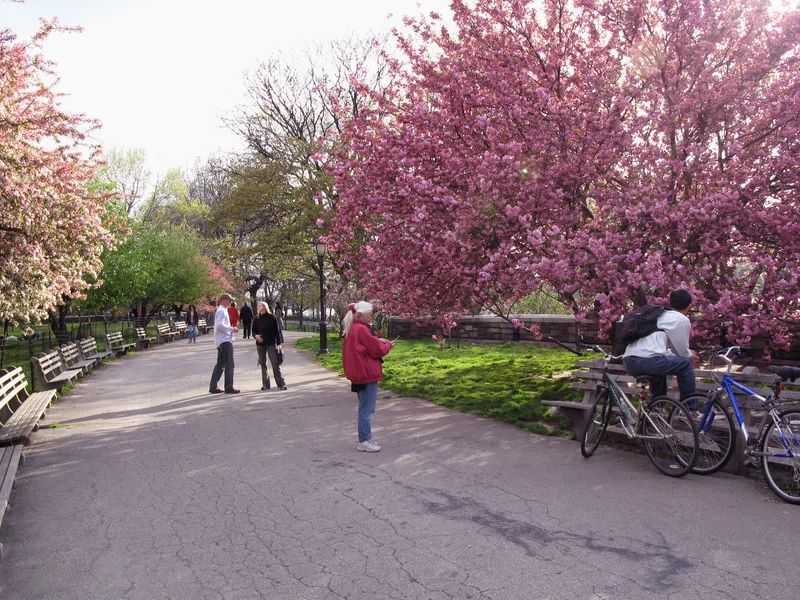 Riverside Park and Drive, New York, New York