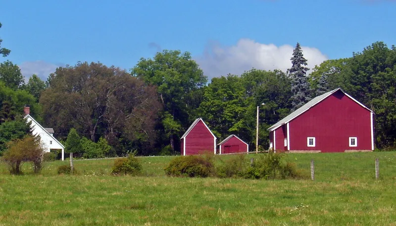 Dill Farm, Shawangunk, New York