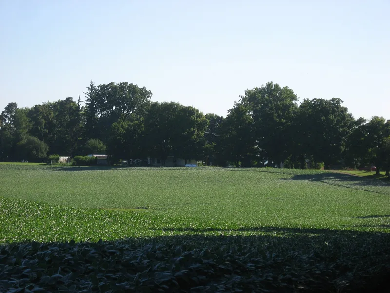 Buchwalter House-Applethorpe Farm, Hallsville, Ohio