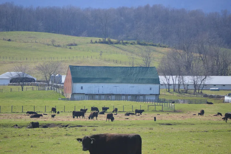 Mish, Henry, Barn, Middlebrook, Virginia