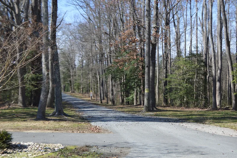 Hardens, Lamptie Hill, Virginia