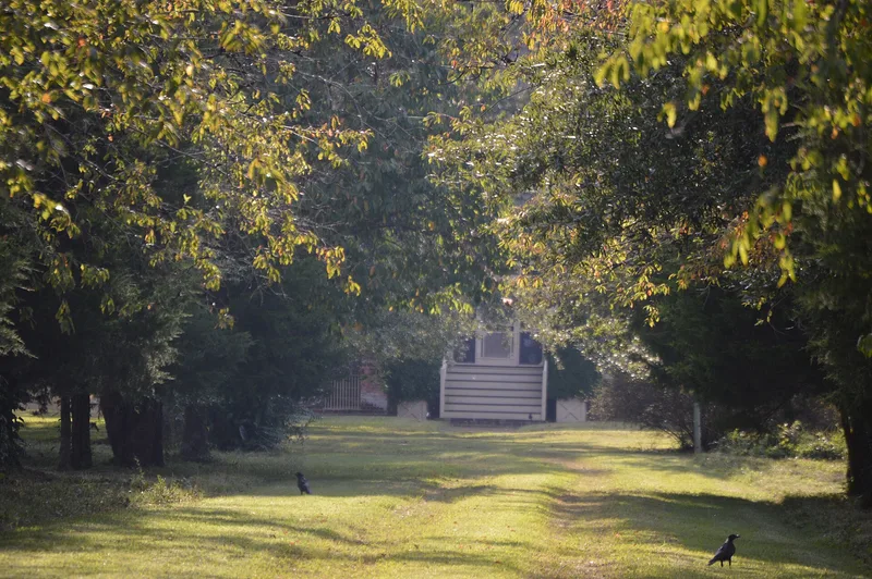 Cherry Walk, Dunbrooke, Virginia