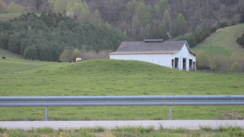 Ely Mound, Rose Hill, Virginia