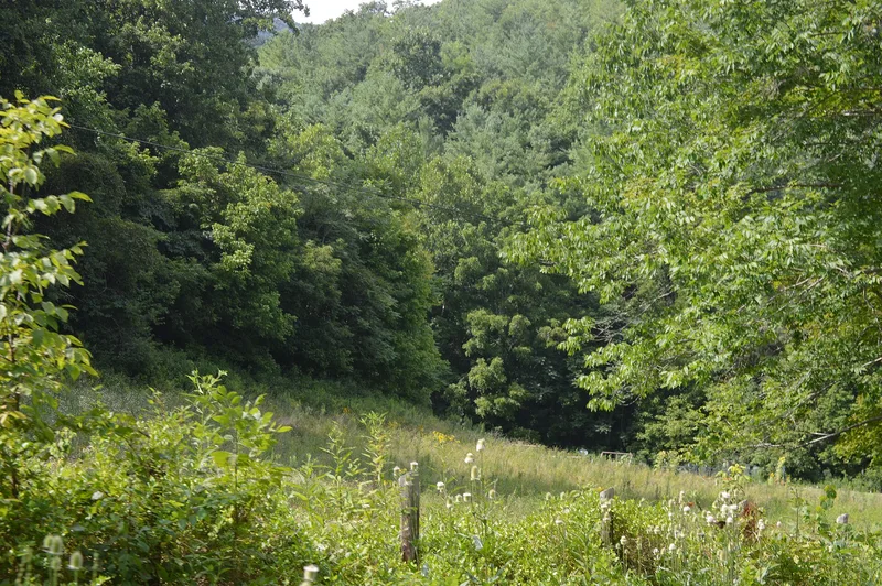Anderson Hollow Archaeological District, Lexington, Virginia