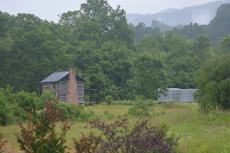 Flanary Archeological Site (44SC13), Dungannon, Virginia