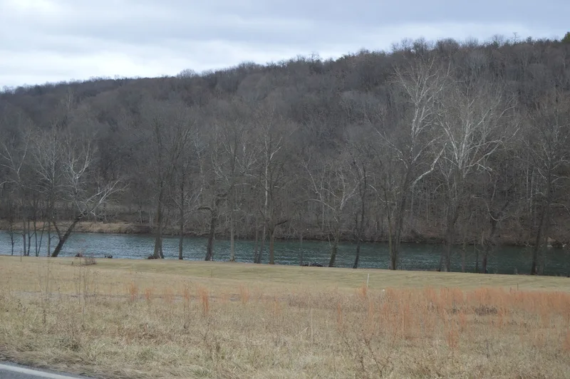 Cornett Archeological Site (44WY1), Austinville, Virginia