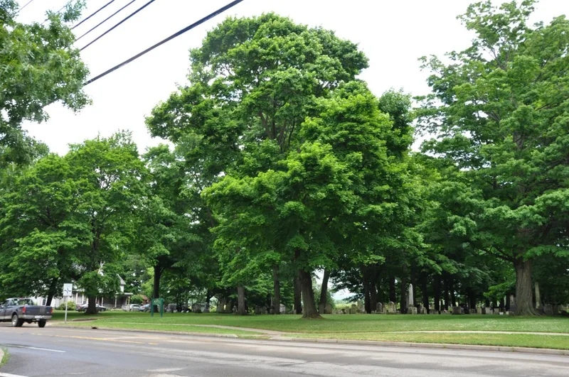East Main Street Historic District, Westfield, New York