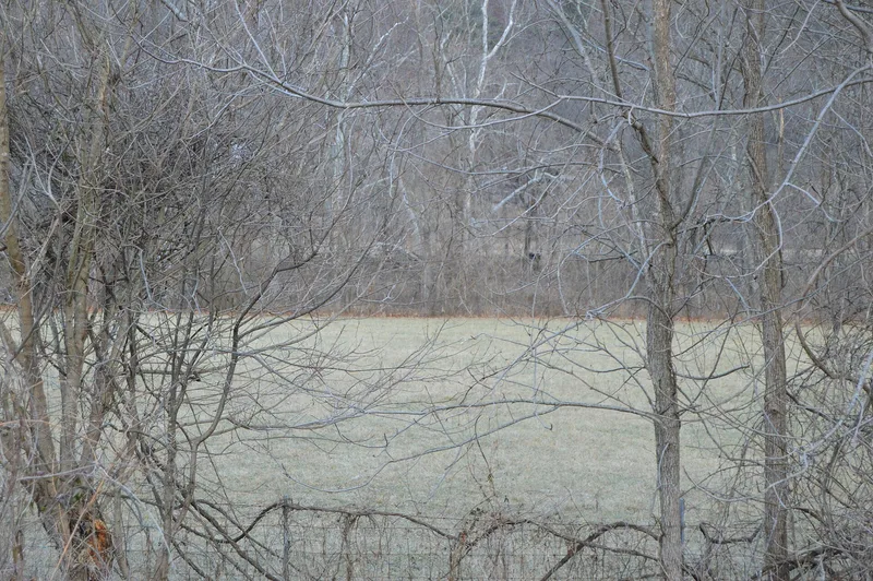 Bessemer Archaeological Site (44 BO 26), Eagle Rock, Virginia