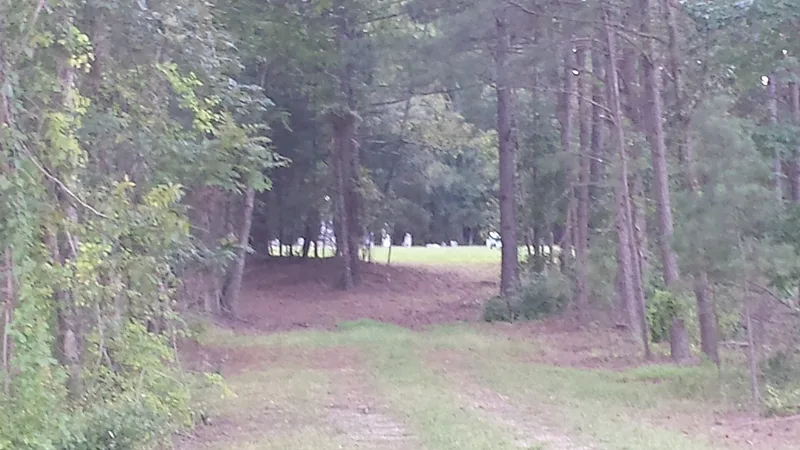 Crawford-Dorsey House and Cemetery, Lovejoy, Georgia