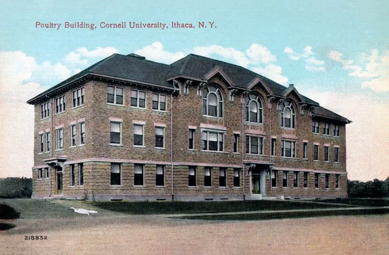 Rice Hall, Ithaca, New York