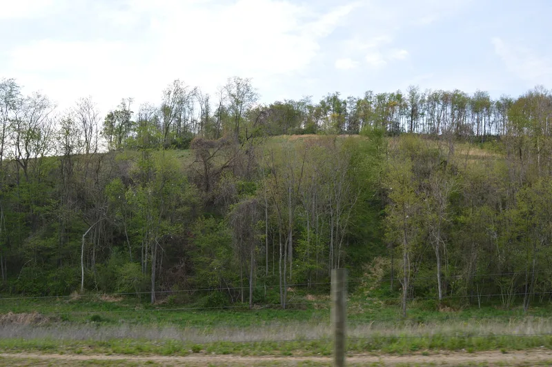 Francis Farm Petroglyphs Site (36FA35), Jefferson Township, Pennsylvania