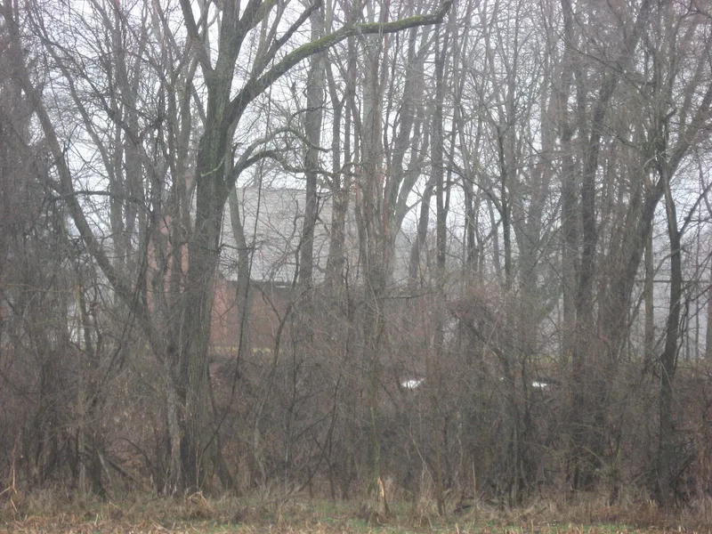 Shaub, Martin, Mill Site/House, Alexandria, Ohio