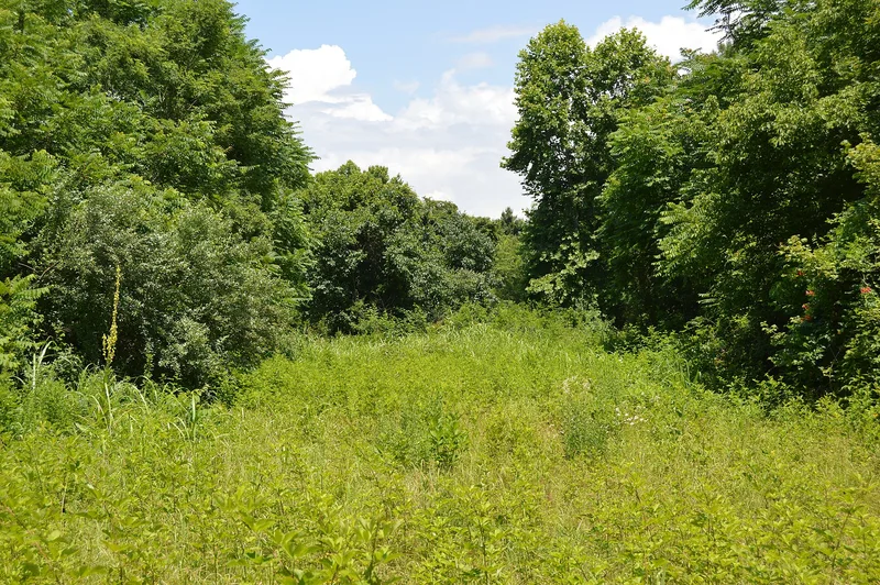 Elm Hill Archaeological Site, Castle Heights, Virginia