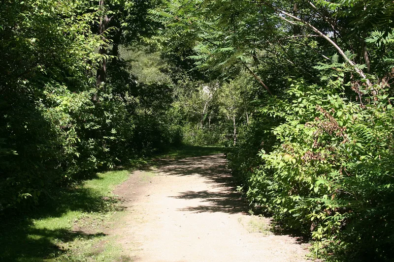 Wild Flower and Bird Sanctuary in Mahoney Park, Kenilworth, Illinois