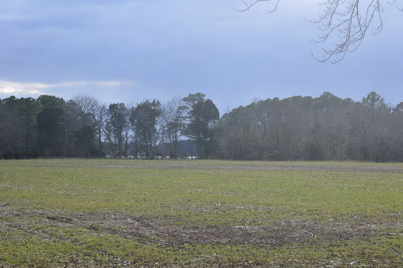 Scarborough House Archaeological Site (44AC4), Davis Wharf, Virginia