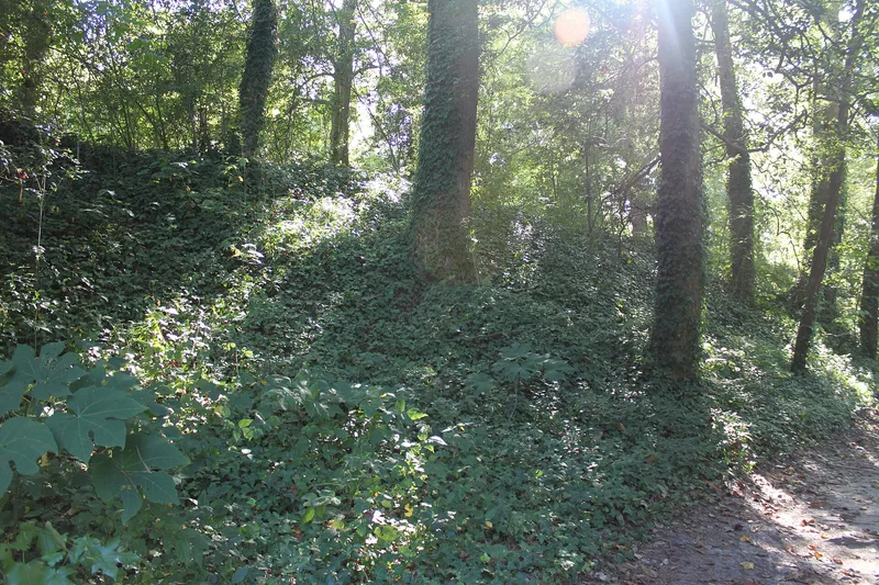 Fort Boykin Archaeological Site (44IW20), Smithfield, Virginia