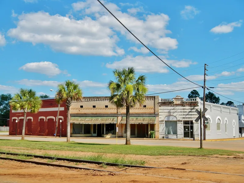 Shellman Historic District, Georgia