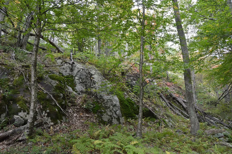 Cliff Kill Site, Luray, Virginia