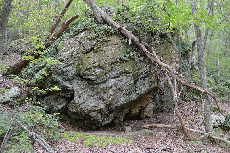 Paine Run Rockshelter, Luray, Virginia