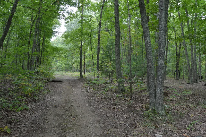 Archeological Site No. AU-154, Luray, Virginia