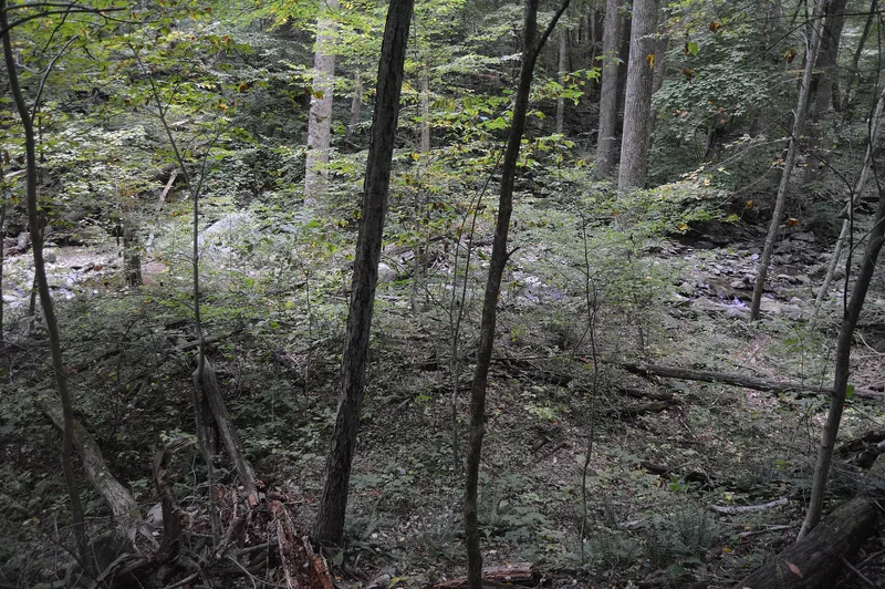 Gentle Site, Luray, Virginia