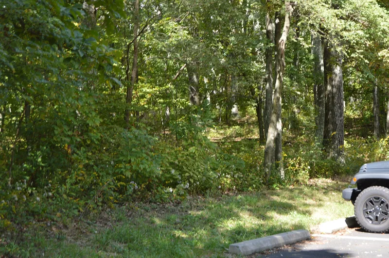 Compton Gap Site, Luray, Virginia